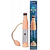 ��������� ��������-����� �� ���������� ���������� ( Dream toys 50157)