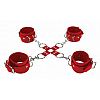   Hand And Legcuffs 