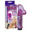��������� �������� � ���������  Venus Lips 
