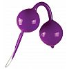 ���������� ����������� ������ Geisha Purple 
