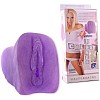   CHLOE JONES 5557-06 BX DJ