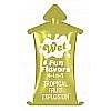 ����-��������� Wet Fun Flavors Tropical Fruit Explosion, 10 ��