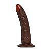  Realistic dildo real rapture - Toyz4lovers, 20,54,5 , 