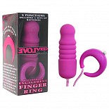       PROMISE   EN-AI-0004-02-2 
    -!         ,          !  - 1,7 ,  5,5 .