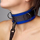  7101-5 
     7101-5   .