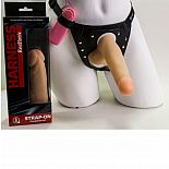          292023ru 
          ,     ,        .