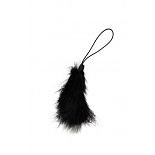    SCANDAL BLACK FEATHER GWP 
