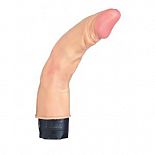 <strong>Гнущийся вибратор-реалистик - 19 см.</strong> <br />
Многоскоростной вибратор. Не содержит фталатов. <div class="charTableblock"><div><span>Длина, см</span>: 19</div><div><span>Диаметр, см</span>: 4</div><div><span>Материал</span>: ПВХ (PVC)</div><div><span>Длина, см</span>: 17-20</div><div><span>Диаметр, см</span>: 4</div><div><span>Производитель</span>: Tonga, Нидерланды</div></div> Гнущийся вибратор-реалистик - 19 см.
Многоскоростной вибратор. Не содержит фталатов.