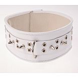 <strong>Ошейник кожаный белый шириной 65мм с шипами длиной 12мм 3105-3</strong> <br />
Изготовлен из натуральной кожи с велюровой подкладкой. <div class="charTableblock"><div><span>Материал</span>: кожа</div><div><span>Цвет</span>: белый</div></div> Ошейник кожаный белый шириной 65мм с шипами длиной 12мм 3105-3
Изготовлен из натуральной кожи с велюровой подкладкой.