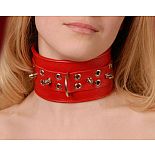 <strong>Ошейник кожаный красный шириной 65мм с шипами длиной 12мм 3105-2</strong> <br />
Изготовлен из натуральной кожи с велюровой подкладкой. <div class="charTableblock"><div><span>Материал</span>: кожа</div><div><span>Цвет</span>: красный, розовый</div></div> Ошейник кожаный красный шириной 65мм с шипами длиной 12мм 3105-2
Изготовлен из натуральной кожи с велюровой подкладкой.