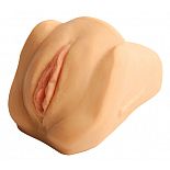       
  medium ()   ,     ,        .