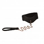    Entice Posture Collar with Leash  
     Entice Posture Collar with Leash       Entice.