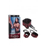    Scandal Posture Collar with Cuffs 
   Scandal Posture Collar with Cuffs       Scandal.