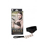      Entice Posture Collar with Leash    
     Entice Posture Collar with Leash       Entice.