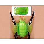 ������� ������� ��� ������� �� �������� 
������������ ���������� *�������* �� ���������� �������� ��� ��������� � ����. ������� ��������� �� �������� �������� �����, �� �������: ����� ���� 5 ��, ������ �������� 4,5 ��.. �������� ����� ������ ���������� ��������� �������� ������ ���������� ���������. �������� ������������ ������ ������� � ���. ��� ������ ��������� ��� ��������� ��.