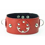 <strong>Красный кожаный ошейник с шипами </strong> <br />
<div class="charTableblock"><div><span>Материал</span>: кожа</div><div><span>Цвет</span>: красный, розовый</div><div><span>Производитель</span>: БДСМ арсенал, Россия</div></div> Красный кожаный ошейник с шипами