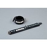 ׸���� ������� ��������� � �������������� ������������� 
����� ��������� ��������� �� ����������� ���� ������� �����.