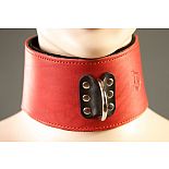 <strong>Красный кожаный ошейник на мягкой подкладке</strong> <br />
Ошейник выполнен из жесткой натуральной кожи высокого качества и оснащен D-кольцом, которое обеспечивает удобство крепления различных бандажных систем (карабины,веревки,ленты). <div class="charTableblock"><div><span>Материал</span>: кожа</div><div><span>Производитель</span>: Подиум, Россия</div></div> Красный кожаный ошейник на мягкой подкладке
Ошейник выполнен из жесткой натуральной кожи высокого качества и оснащен D-кольцом, которое обеспечивает удобство крепления различных бандажных систем (карабины,веревки,ленты).