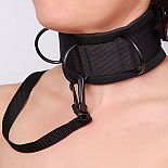 ׸   
        ,    (   Soft-bandage),    .