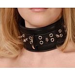 <strong>Широкий черный ошейник с шипами</strong> <br />
Изготовлен из натуральной кожи с велюровой подкладкой. <div class="charTableblock"><div><span>Материал</span>: кожа</div><div><span>Цвет</span>: черный</div><div><span>Производитель</span>: Sitabella, Россия</div></div> Широкий черный ошейник с шипами
Изготовлен из натуральной кожи с велюровой подкладкой.