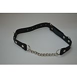 ׸���� ���� � �������� 
������� ���������� �� ����������� ����. ������ � ���� ��������������. ������ �������������. 