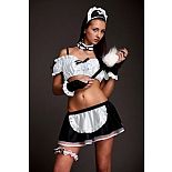 ������ ����������� ���������  
������ "���������".