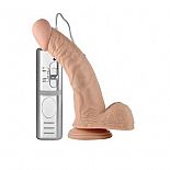 �������� ��������� ����� Real Extreme Curved - 21,5 ��. 
�������� ��������� ����� �� �������� ��������� ����� � 3 �������� ��������� �� ������ ����������.