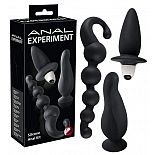    Anal Experiment 
         ,   .