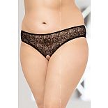     ,   
  ,    ,      .