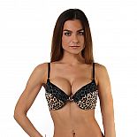 ���������� ����� � Push-Up 
�����������-����� � �������������� ��������� ���-��.