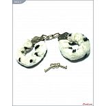 ������������� ��������� � ����-������ ����� 
������������� ���������, ������������� �� ������������������ �����.