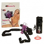 ������� ��� ������� 
������������ ���������� � ���� ������� �� �������� ��� ��������� � ����.