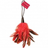      PD2166-15 
      - - .