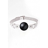 ���� � ����� �������� 
������� ���������� �� ����������� ����.