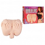 ����� ������������ WENDY WILLIAMS � �����-����� 5350-01 BX DJ 
������� �����-������ � ��������� �������� ������������ ������ ����� � �����-�����.