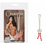 ����� �� ������� ���� CLEOPATRA ���������� 
����������� ����� �� ������� ���� � �������������� ��������� ����������� �������� ����� - ��� ����� �� 4 ������� ��������� 0,4 �� �� ������.