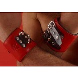 ������ ������� ������� P22ARED 
"������� ��������� � ������-������ �����.