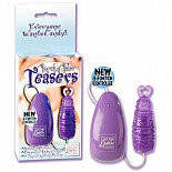 - CANDY COLOR PURPLE 1160-40 BX SE 
-  .