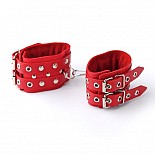 ��������� ������� ������� � ��������� 3050-2 
��������������� �� ����������� ���� � ��������� ����������.