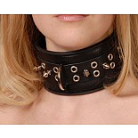 <strong>Ошейник кожаный черный шириной 65мм с шипами длиной 12мм 3105-1</strong> <br />
Изготовлен из натуральной кожи с велюровой подкладкой. <div class="charTableblock"><div><span>Материал</span>: кожа</div><div><span>Цвет</span>: черный</div></div> Ошейник кожаный черный шириной 65мм с шипами длиной 12мм 3105-1
Изготовлен из натуральной кожи с велюровой подкладкой.