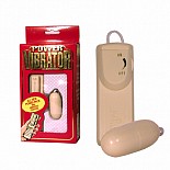 �������� 
���������������� �����-���� �� ������ ���������� .