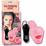 <strong>Ротик наслаждения ARIA 0460-04 BX SE</strong> <br />
Розовый ротик-мастурбатор из реалистичного материала Soft Touch с вибрирующим и делающим ротационные движения языком. <div class="charTableblock"> </div> Ротик наслаждения ARIA 0460-04 BX SE
Розовый ротик-мастурбатор из реалистичного материала Soft Touch с вибрирующим и делающим ротационные движения языком.