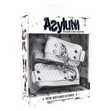  Asylum       
    ,    BDSM.         ,       .            .
