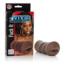 - VIVID RAW FUCK IT  
- VIVID RAW FUCK IT 