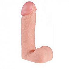 - LITTLE DICK - 24 . 
    .