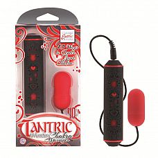  -     TANTRIC 
-    10    ,      .