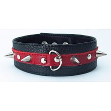 ׸���-������� ������� �� ���� �  ������  
������� ������� �����, �������� �� ������������������ ����.