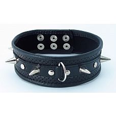 ׸���� ������� ������� � �������� ������ 
������� ������� �����, �������� �� ������������������ ����.