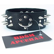 ׸���� ������� ������� � ������   
������� ������� �����, �������� �� ������������������ ����.