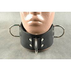 ������� �������� �������  
�������� - ������� � �������; � 3 ������������� D-��������, ��������.